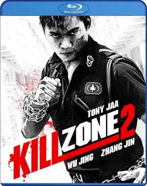Well Go USA / Released 7/19/16