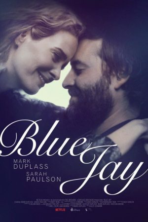 blue_jay
